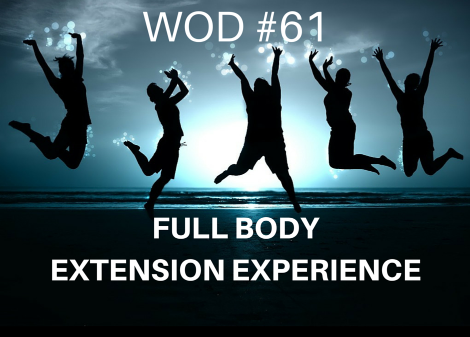 Full Body Extension Experience