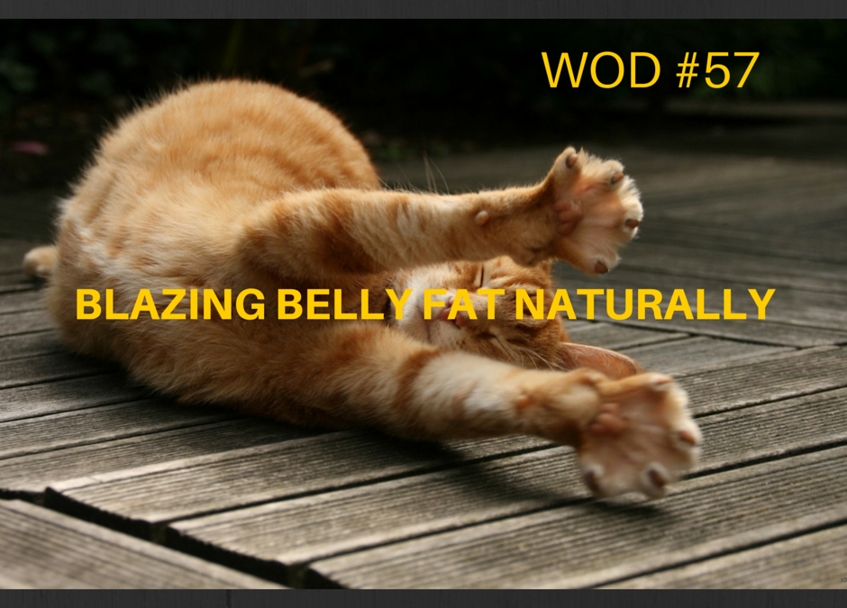 Blazing Belly Fat Naturally