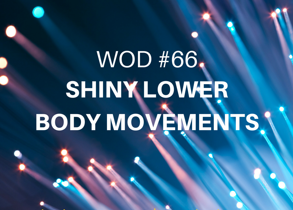 Shiny Lower Body Movements