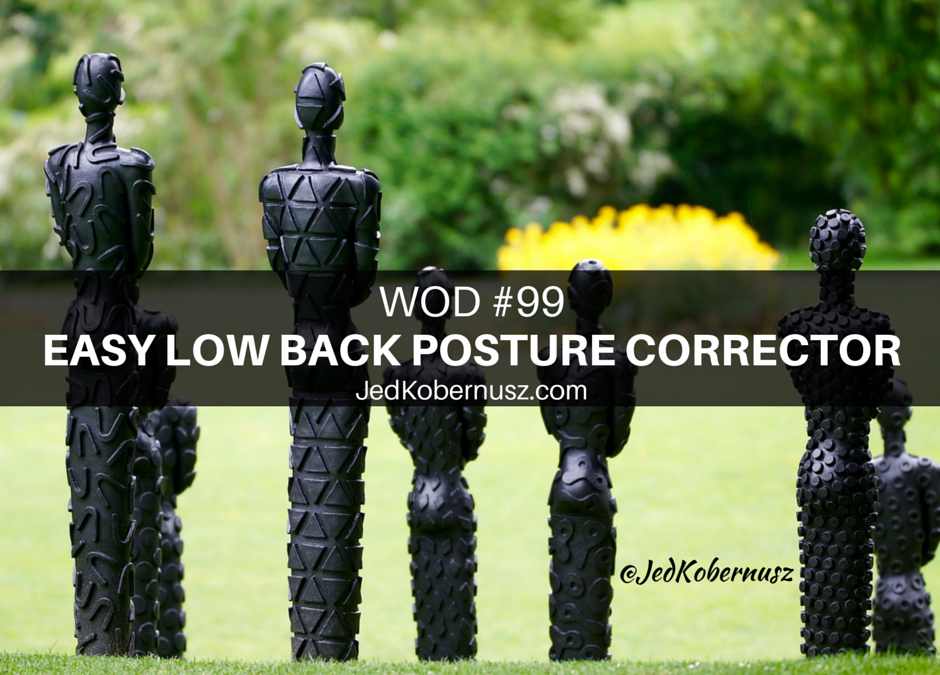 Easy LowBack Posture Corrector