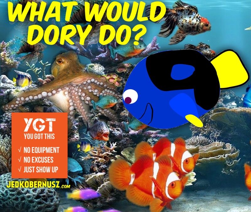 What Would Dory Do