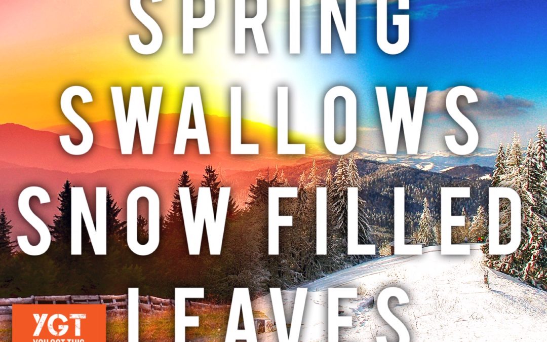 Spring Swallows Snow Filled Leaves